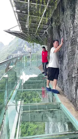 Travel Glass Bridge  #glassbridge #faryou❤️ #foryoup❤️ #foryoupage❤️ #funn #usa🇺🇸 