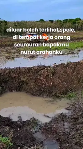 kelazzz🥶 #petaniindonesia🇮🇩🇮🇩🇮🇩🌿🌿 #quickzena #kubotaindonesia  @LAJIM cewway🐙🐰 