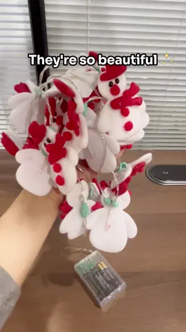 They have different ones click the link to check them out. #ledlights #christmaslights #christmasdecor #ledchristmaslights #treasurefinds #flashsale #fyp