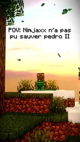 Si Ninjaxx n'avait PAS sauvé Pedro II..  #ninjaxx #Minecraft #fyp