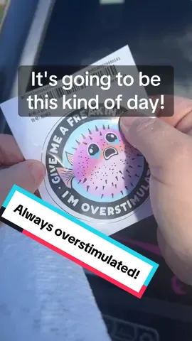 Anyone else put stickers all ovwr their car so they can find it in the parking lot??? Just me??? #wheresmycar #adhd #neurospicy #whatwasitalkingabout? #squirrel 