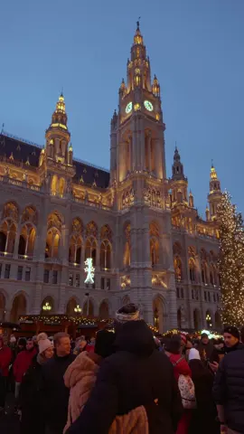 ✨ The magic of Christmas begins in Vienna 🎄🎀 The first Christmas markets are now open at Schönbrunn Palace and Stephansplatz 🎄 Have you visited them yet? Next week, Vienna’s festive street lights will shine bright, along with the opening of even more famous Christmas markets. Get ready to experience Vienna’s most enchanting season 💫🎁 Locations featured in this video: 📍 Wiener Rathausplatz 📍 Schönbrunn Palace 📍 Herrengasse 📍 Freyung 📍 Christkindlmarkt Rathausplatz 📍 Kärntnerstraße 📍 Graben 📍 Stephansdom / Stephansplatz 📍 Demel Come visit Vienna 🤗 🎥©️ @vienna_visitas #viennachristmas #christmasmarketsvienna #schönbrunnpalace #stephansdom #wienerrathausplatz #christmasinvienna #viennatravel