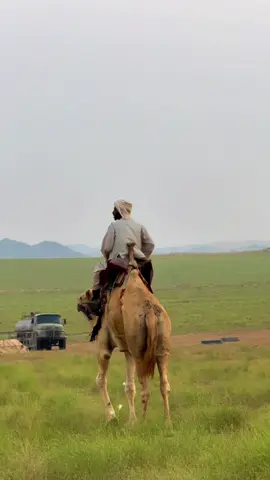 #ثلاثاء_بني_عيسى #القنفذه #تصويري📷 #ريعان #خبت #اجواء_الشتاء #محمد_عبده #ريعان_بني_عيسى 