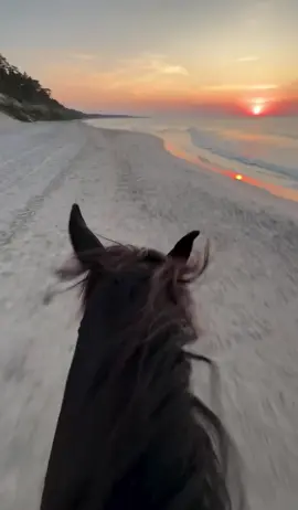 #nasheed #islam #sunnah #Capcut 