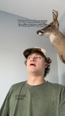 #relatable #funny #fyp