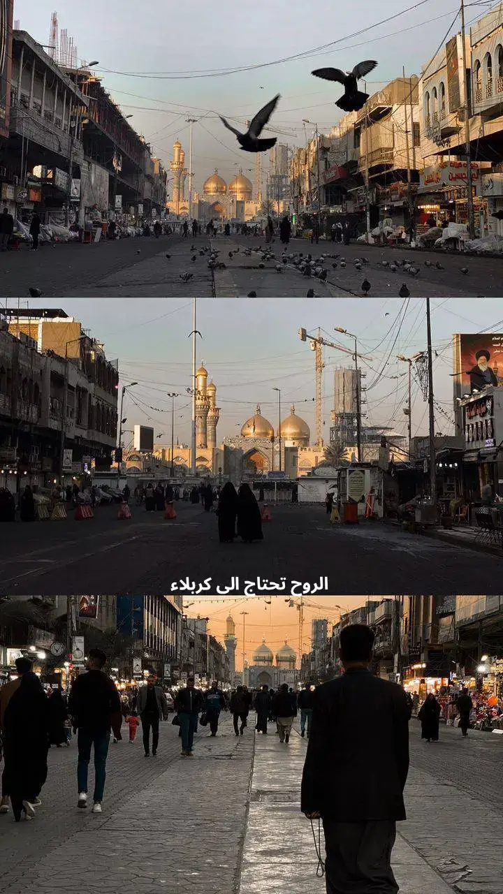 الروح تحتاج الى كربلاء. #ستوريات_حسينيه #قصائد_حسينية #كربلاء_العشق 