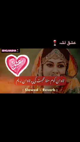 تاوان قوم تا محبت کے پا تا وان نیم🍷 Tavan kaom sta muhobat ke pa Tavan neyam pashto full song 🎶 Pashto musafar tappy 🥹 pashto dj remix song 🎧#titok #unfrezzmyaccount #growmyaccount #titok #music #viral #foryou 
