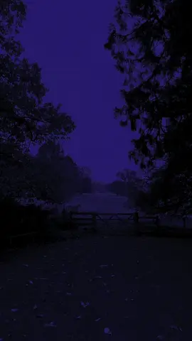 #nature #calming #purple #darknature #aesthetic #fypageシ #fy #natureaesthetic #limerence #poisontree 