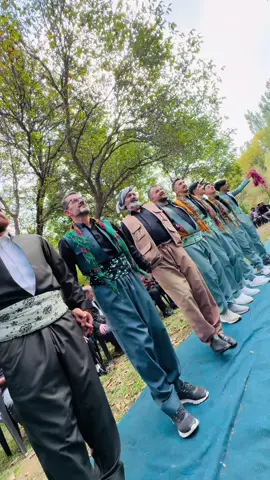 43 80 🔥🔥😊#4380 #arabicsong #kurdish #kürtçeşarkılar #halay #sofi #omer #sofiomer #weddings #komazerza 