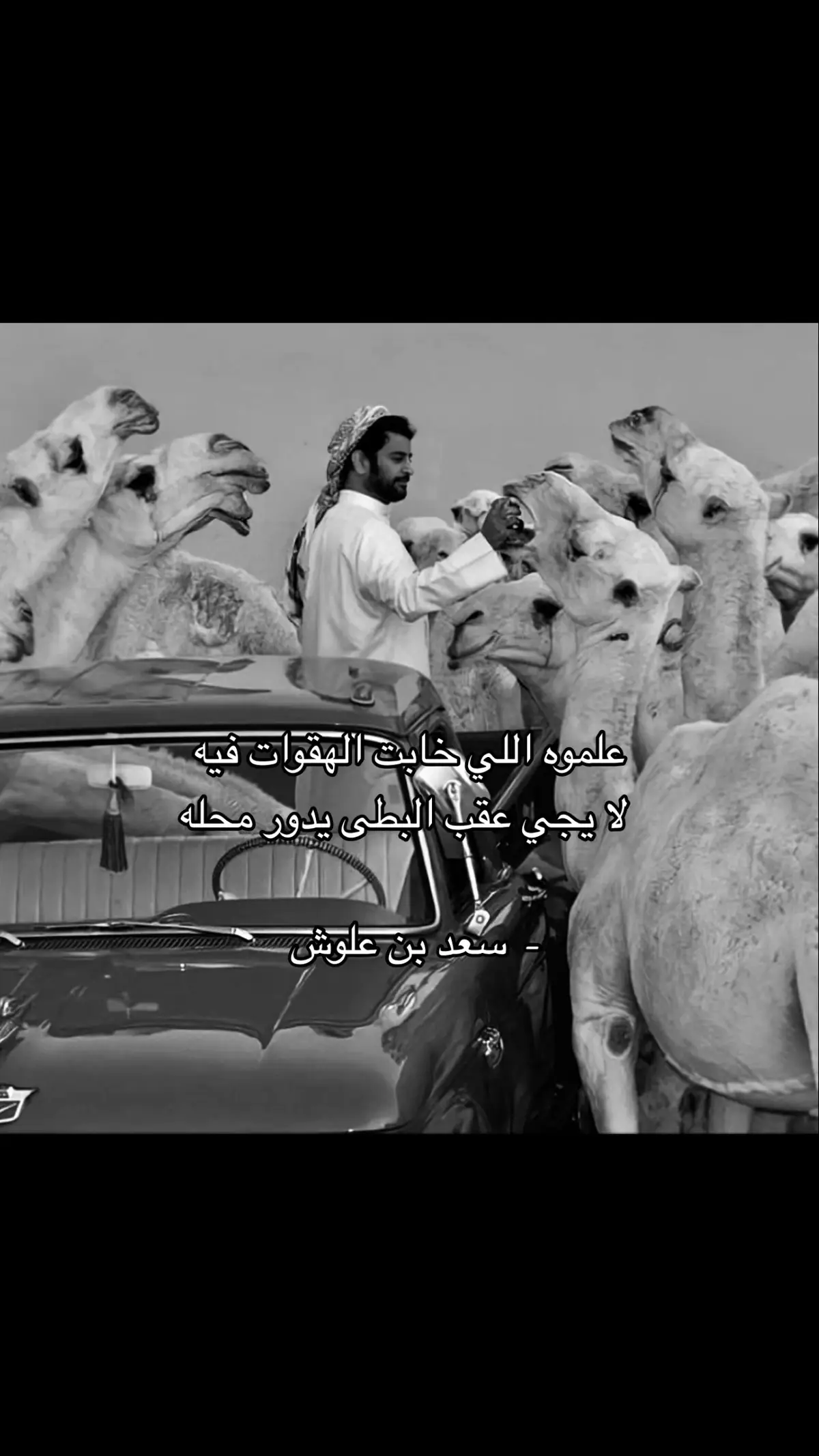 #سعد_علوش 