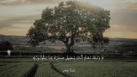 [ الحجر: 97…99] #عبد_الباسط_عبد_الصمد #قران_كريم#اجر_لي_ولكم #fyp 