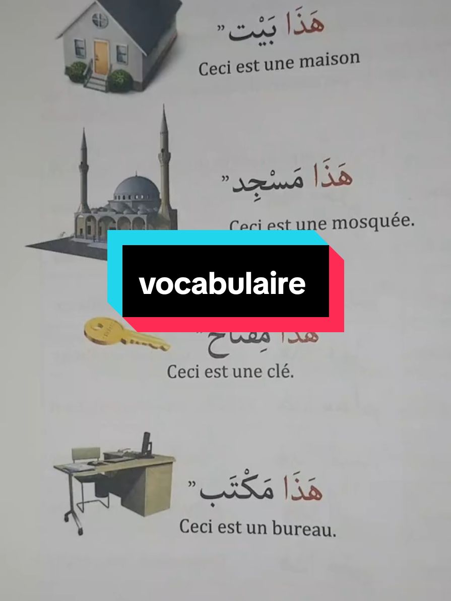 apprendre l'arabe facilement avec Sanae  #vocabulairearabe #arabe #arabe #larabe #repeteapresmoi #lecturearabe #apprendrelarabe 
