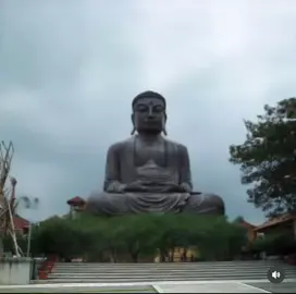 Video phật đứng dậy đi cho ai cần ạ #phat #adidaphat #xuhuong #camdong 