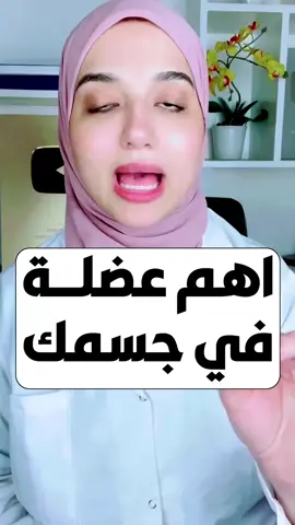 اهم عضلة في جسمك بعد القلب #عضلات 