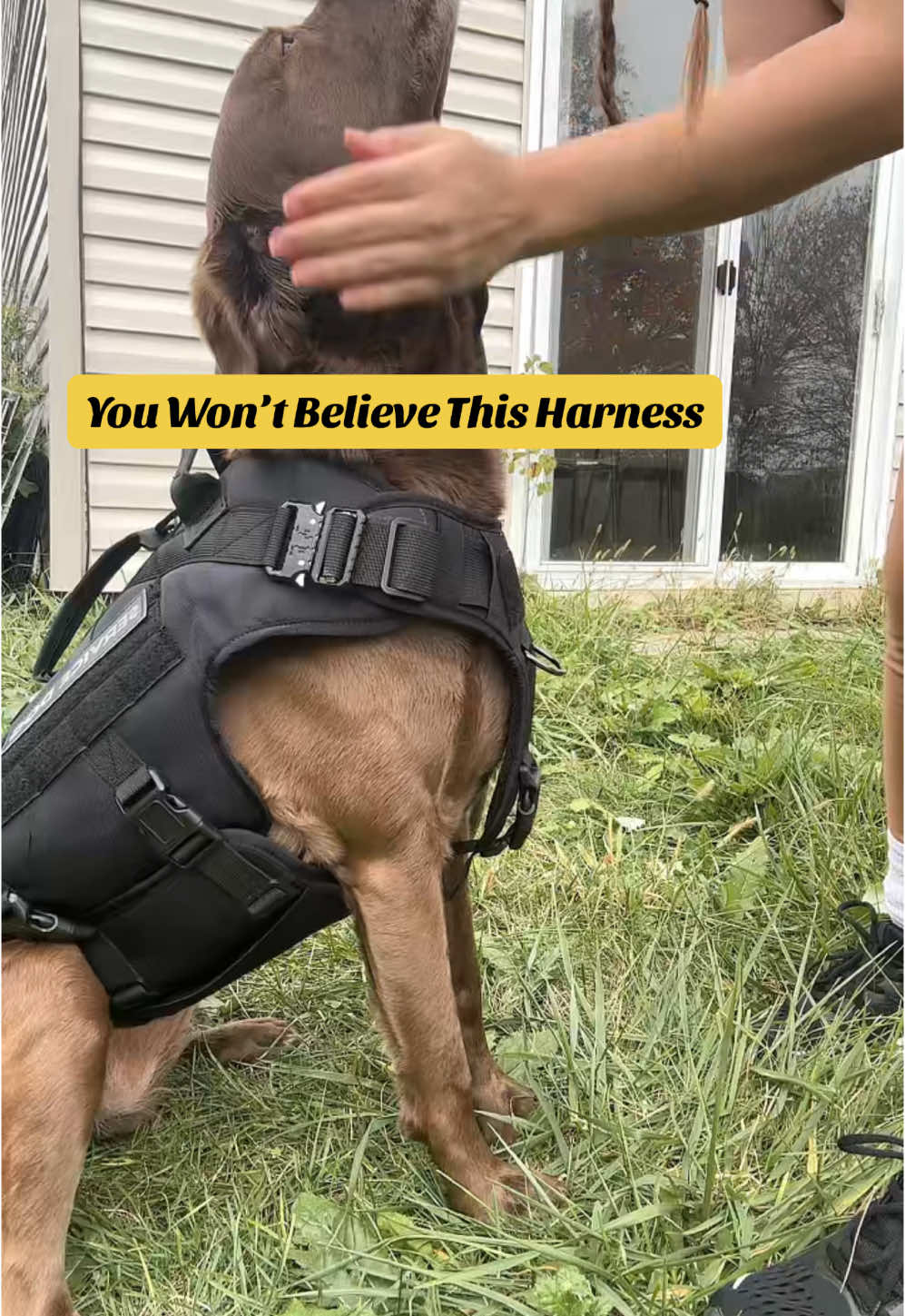 PETNANNY Tactical Dog Harness for Large Dogs, Heavy Duty Dog Harness with Handle, No-Pull Service Dog Vest #petnanny #petnannyharness #tacticaldog #AQQA #servicedog #servicedogintraining #petharness #tacticaldogharness #nopullharness #K9Power #DogTraining @Petnannystore 