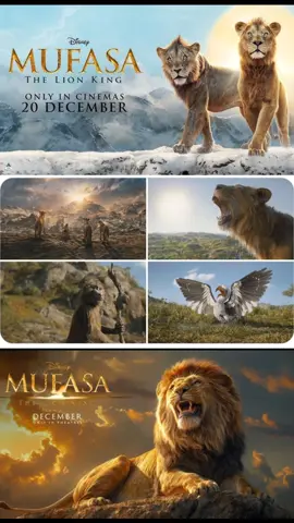 #hindiafsomali #moviereaction #zakimedia6 