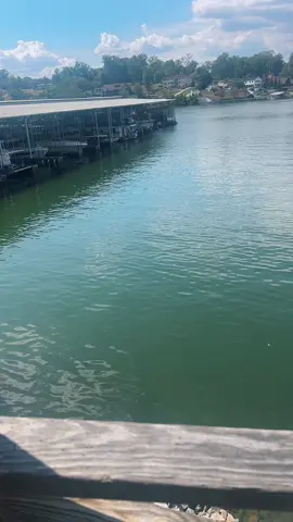 Draft from tennessee casue i miss it😔 #over18 #dontletthisflop #fyp 