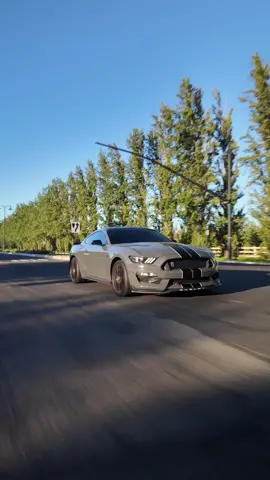 GT350 Voodoo casting spells  • • •Recorded by @5oh.mp4  | Osmo Pocket 3  •2018 Mustang GT350  #cars #s550mustang #fordmustang #osmopocket3 #mustangsofinstagram #550only #americanmuscle #mustangclub #fordperformance #mustangweek #mustanggt #mustangnation #worldwidestangs #fordmustang #carsofinstagram #mustangsdaily #stangnation #mustanggt #photography #americanmuscle