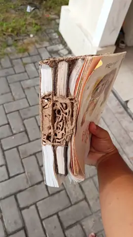 Rumah jd Sarang Rayap Buku,Kardus,Kayu Lemari & Kusen Habis semua tinggal sisa Kulitnya 😭 #hamarumah  #rayap  #sarangrayap  #videofyp  #tiktokviral  #monetisasi 