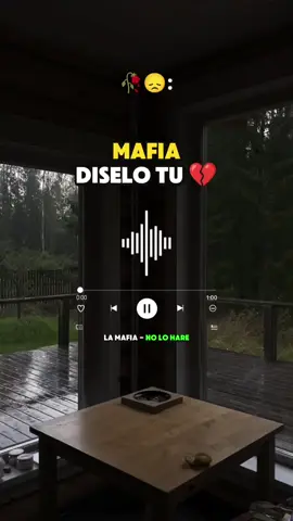 no lo hare - la mafia 🥀 #lamafia #nolohare #musica #canciones #musicaromantica #paradedicar #paraestados #romanticas #musicaconletra  #cancionesromanticas 