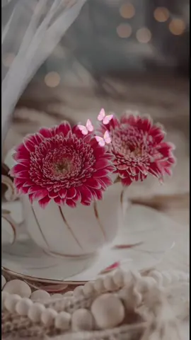 #صباحكم_أحلى_صباح🌹🌹  