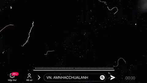 Hôm nay là còn bao nhiu ngay nữa tết mn nhỉ.?🧧🌸🌼#tetnam2025🧧🌸🌸 #music #xuhuong #nammoi #nammoivuive #tetsumvay #tetmaiman 