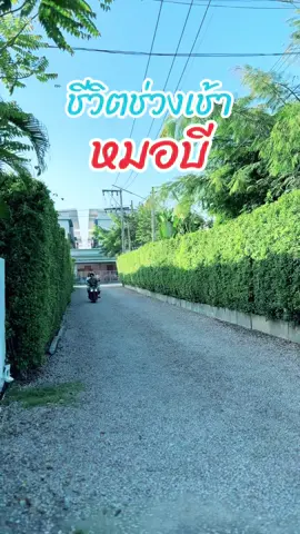 เชียงราย 10 NOV 2024 #หมอบี