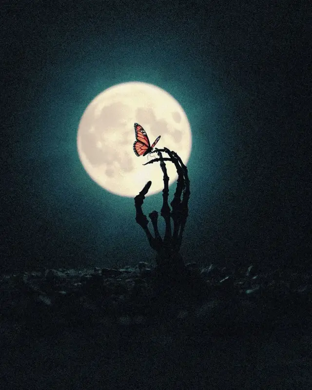 #hans #seslendirme #fyp #ümityaşaroğuzcan #şiir  @Damla Ödoğlu 