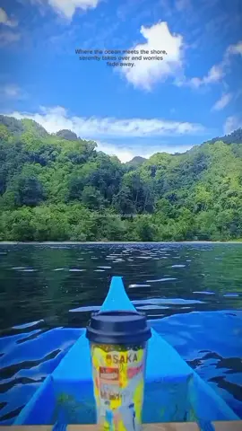 Moluccas 😍 #alamindahdesaku #pantai #healing #sea #ambontiktok #ambontiktokviral #fypシ゚viral #fyp #maluku #amboina #amboina💖song #ambonmanise #ambonpride🏝🔥 #tiktok 