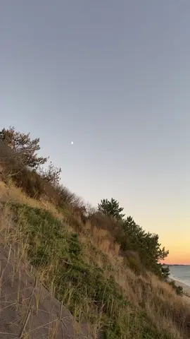 okay sorry ill stop posting the sunset now