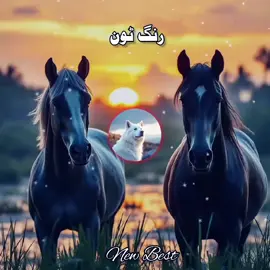 new Best ringtone #✌️🎶🔥❤️ #viraltiktok #بہت #ہی #خوب #viral #رنگ #ٹون #foryoupage #ویئرل۔ہو۔جائے #1millionviews #1M 