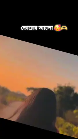সকাল বেলা হালকা রোদে 🫶🫶🫶❤️‍🔥 #forupage #500k #100k #viraltiktok #tanding #viralvideo #foryouvideo #foruyou #feni #fenian #unfrezzmyaccount #porshuram_feni🖤 