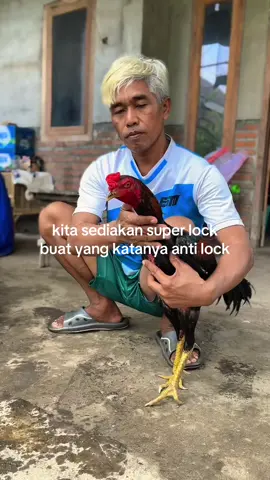 Saran nama bolo🙏🏻🔥 Cari amunisi ayam bisa hubungi WA klik link di bio💌#foryoupage #foryou #ayambangkoksuper 