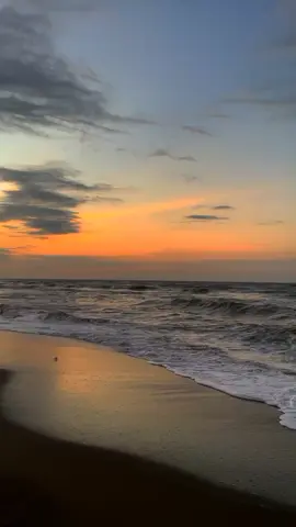 Sangat sulit meyakinkan lalat,bahwa sesungguhnya bunga jauh lebih indah daripada sampah...!!! #fyp #bollywoodsong #mohabbatein #sunsetvibes #quotestory #storytime #foryou 