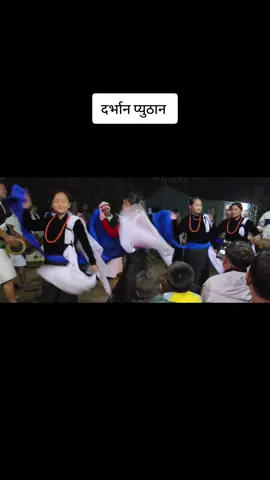 २०८१ को अन्तिम भैलो