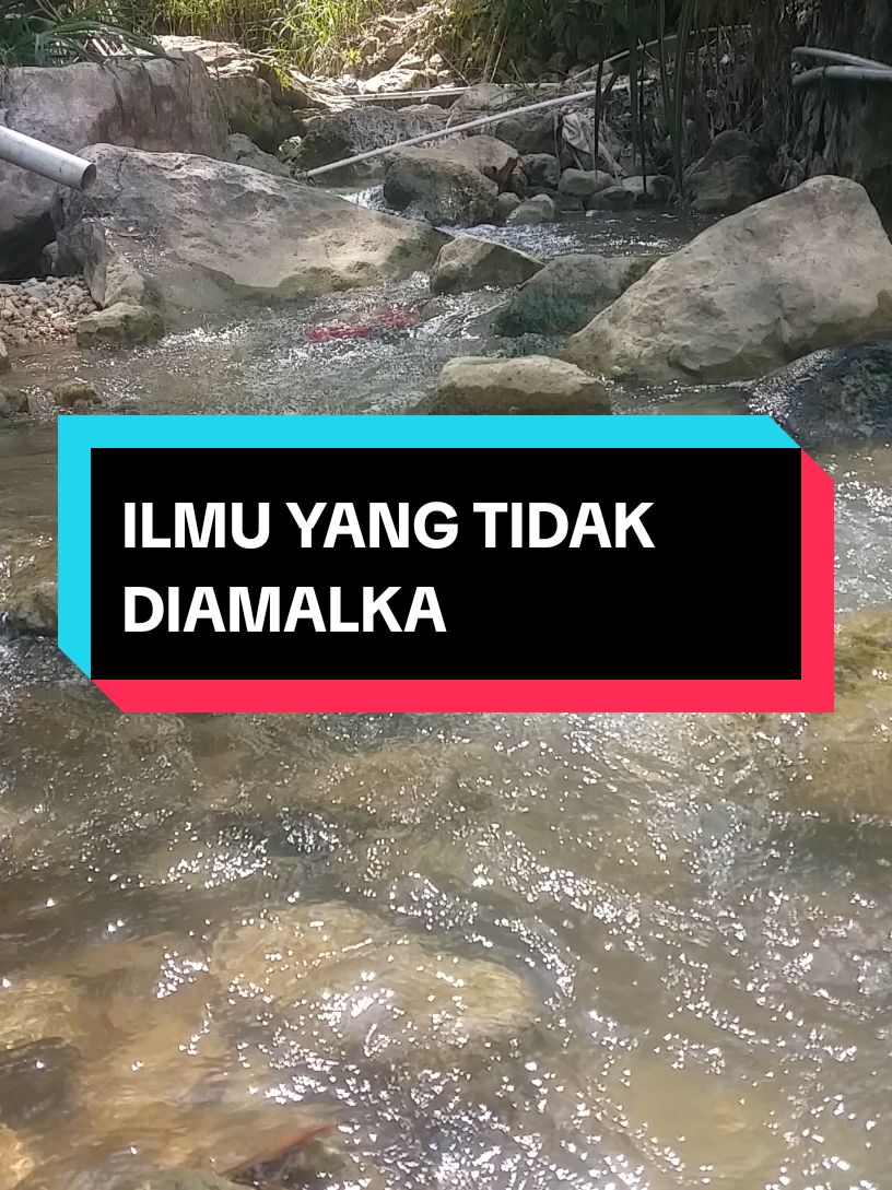 ILMU YANG TIDAK DIAMALKAN BAGAIKAN POHON YANG TAK BERBUAH  #islamic_video #fyp #fypシ #lewatberanda #lubisberanda #dakwah #capcut #berandatiktok #motivasihidup 