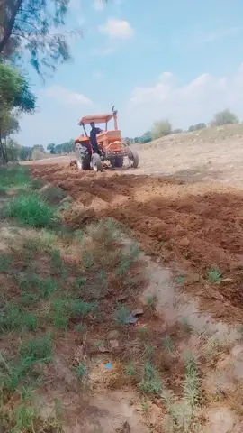 ###CapCut ##onthisday ##trakter lover