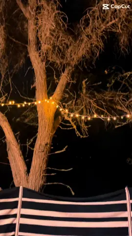 #المنى🕊 #طلعات_الشتاء 