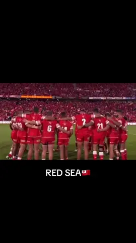 #red #676 #mmt #tonga #aus the best red sea ever