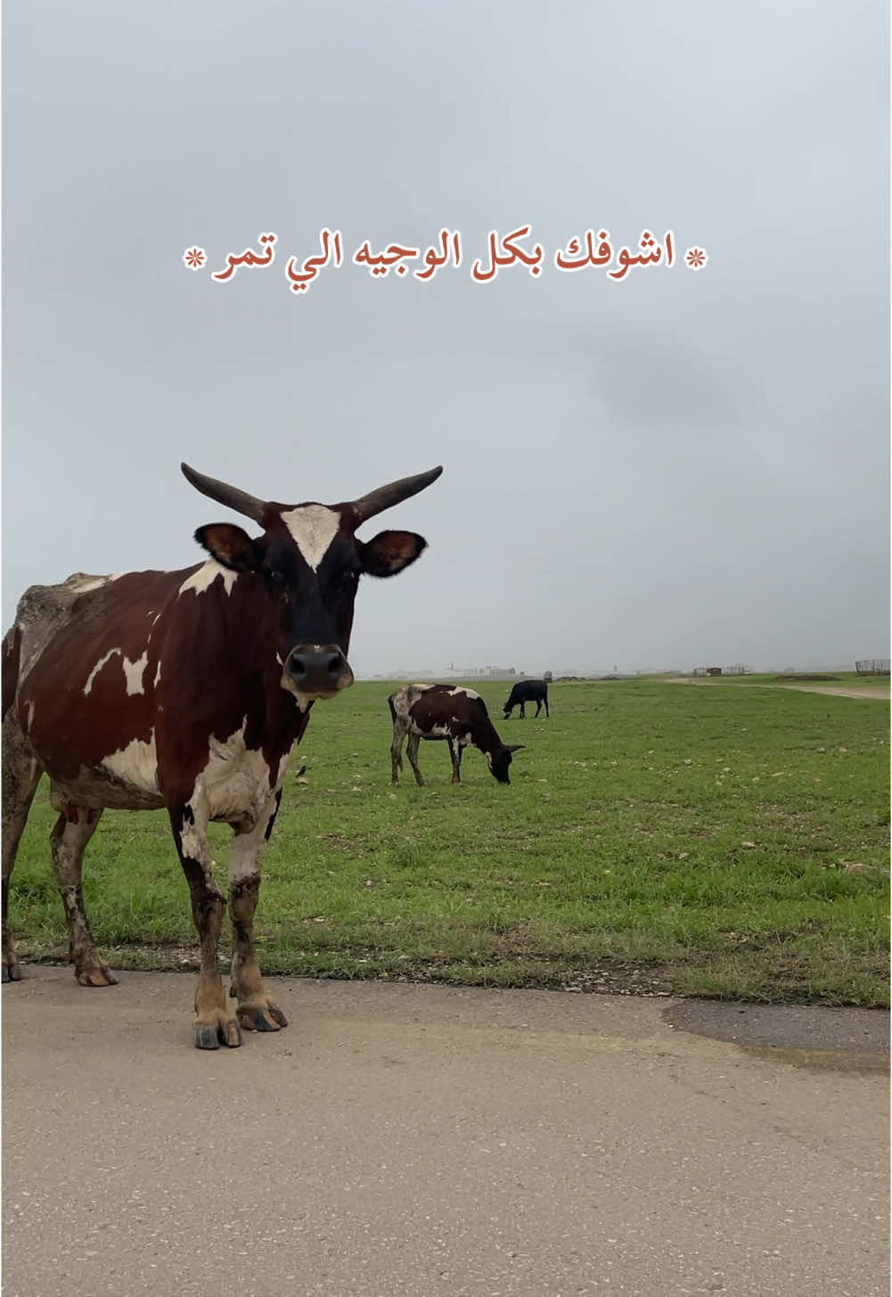 #هههههههههههههههههههههههههههههههههههههه 