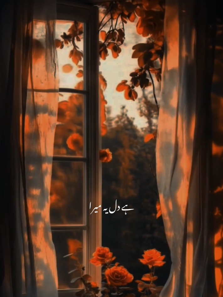 Hai dil yeh mera ❤️‍🩹🍂