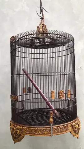 Sangkar MB ukir fiber No.3 •klasik •Mulus halus Presisi •Bonus Karpet dan tangkringan #sangkarburung #kicaumania #lomboktiktok 