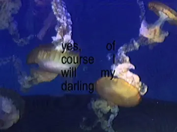 #CapCut #fyp #xybcafyp #viral #blowup #template #edit #vintage #aesthetic #song #cute #nostolgia #text #brattext #brat #indie #plsdontflop #shitpost #chill #breakcore #break #xybca // ꨄ♡︎❦