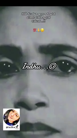 True 💯❤️#indhu🥰 #onmillionaudition #forupage #fyppppppppppppppppppppppp #viwes10000million #myanmartiktok #myvideo #trending #ඉන්දු #indhu #History #100k #viraliza #පානදුරේ_අපි👈❤️ #viral_video #srilankan_tik_tok🇱🇰 