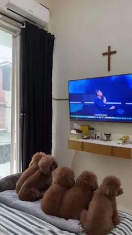 Sekali Yesus Selamanya Yesus... karena kasihNYA skarang ku ada ... #worship #prayer #anakyesus #jesuschrist #missguguk #dog #dogsoftiktok #poodle 