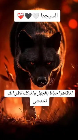#CapCut #السيجما #السيجما #السيجما #السيجما #السيجما #علم_النفس #علم_النفس #الدئب🐺المتمرد #السيقما #الدئب🐺المتمرد #السيقما #علم_النفس 
