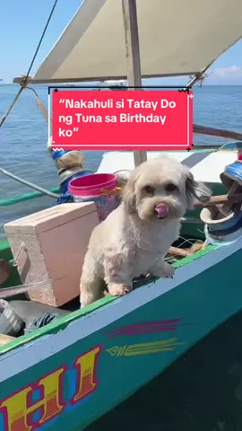 “Nakahuli ng Tuna si tatay do sa birthday ko”  -Sachi Boy Mangingisdog #sachiboy #mangingisdog #sachiboymangingisdog #tataydo #aestheticfurmom 