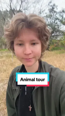 Little bit of an animal tour ☺️