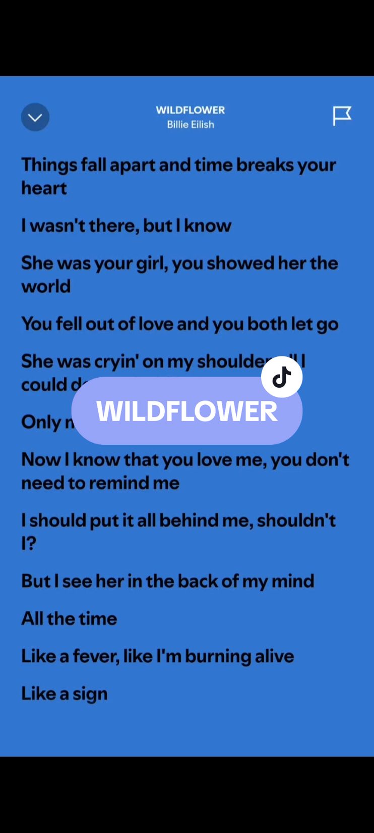 WILDFLOWER🎶 by: Billie Eilish #wildflower #billieeilish #lyrics #spotify #kantakamuna🎤🎶 #oooooomerr_ #fyp 