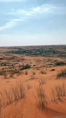 #النفود_الكبير #الجفر #الرديفه #نقذه 